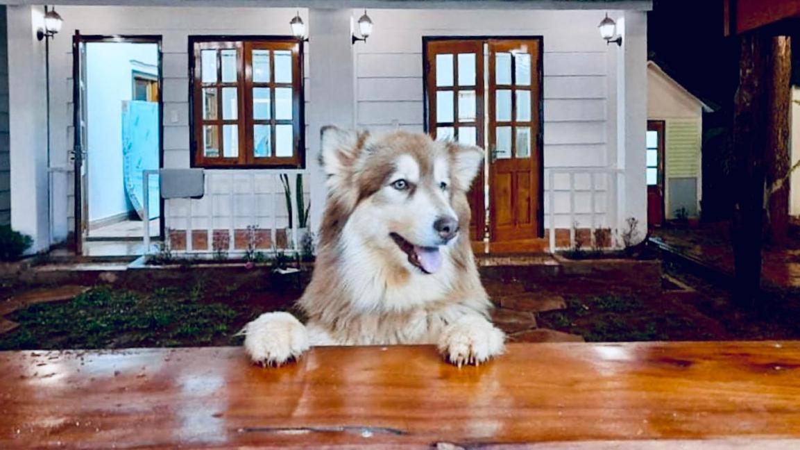 Nang Homestay Mang Den Tỉnh Kontum 외부 사진
